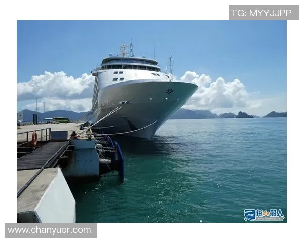 青年赛特别报道LNG转型之路探索与未来发展展望实时数据